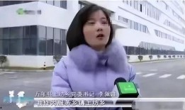 最新爆料李里事件视频,揭秘背后惊人真相