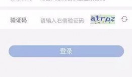 视频爆料 入口网站在线,入口网站在线生成内容背后的秘密